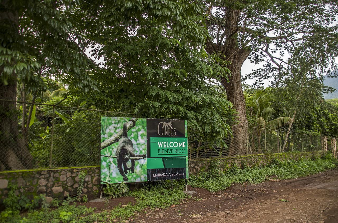 Hotel Congos Merida Exterior photo